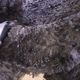 Cria Fleece at 7 Months