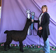  1st cria, tb CC at 6 months old!