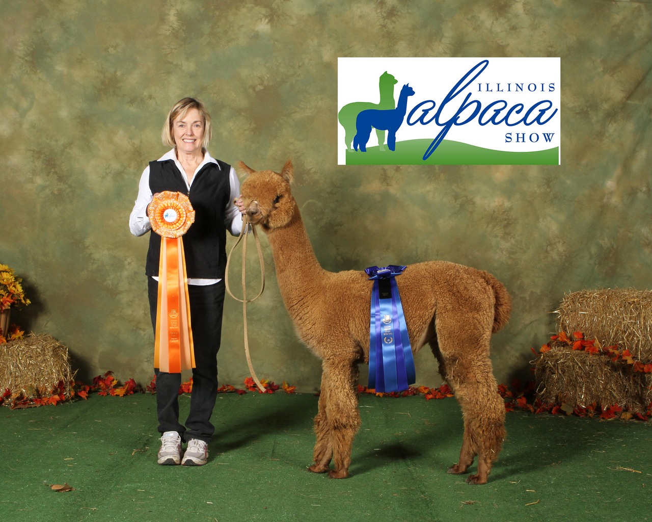 IL Alpaca Show Reserve Champion Walking Fleece