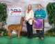  Tempo son Majestic Prince  National Color Champion in Halter and Walking Fleece at 6 months!