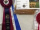 Judge's Choice Spin-Off CAC 2017