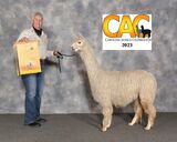 Reserve Color Champion Walking Fleece CAC 2023