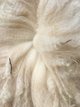 2016 female cria's fleece