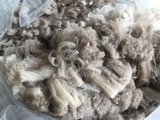 Moorit Merino raw fleece