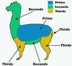 Alpaca Fiber Grading Chart (per pintrist.com)