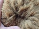 Newborn Cria Fleece 2014