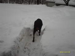 Small paths were hand shoveled each day to get out of the house.