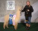 Alpacapalooza 2019 Best Bred and Owned and RC Walking Fleece