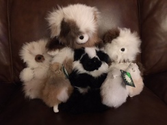 Teddy Bears of various sizes and styles