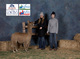 Tasani's first cria, Centry of Halo, sired by Cinders