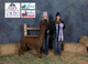 Tashi's 2019 cria, Tempest sired by Cinders, Multiple Color Champion Winner