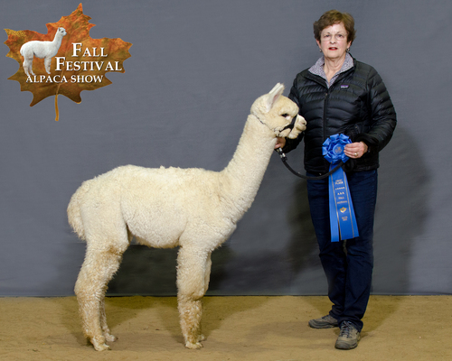 Full brother to National Fleece Champion