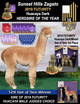 Sire of 2020 & 2019 Offspring (Offspring owned by Rare Gem Alpacas)