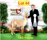 Dam: TAG Pepper