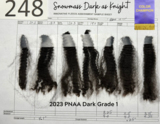 2023 Color Champion Dark Grade 1 PNAA IFA