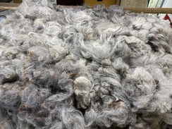 Calling all Spinners and Felters! Raw fleeces in all colors and grades. 