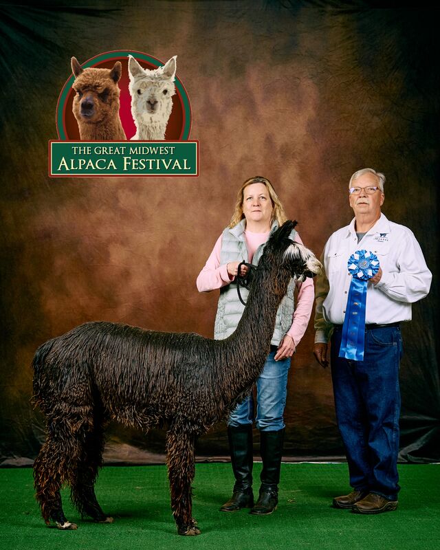 2023 Great Midwest Alpaca Festival