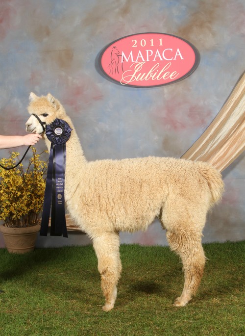 2011 MAPACA 1st Place