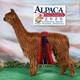 Grace’s 2018 cria sired by Anvil