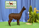 2016 Cria, ANDACAL'S Lady Miracle de Beau