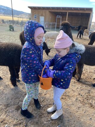 Sisters getting ready to give grain to the girls