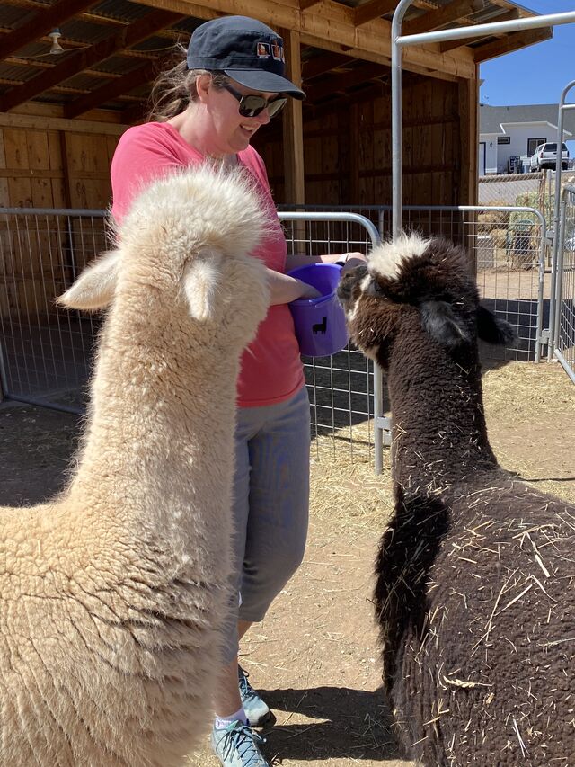 Lora feeds fluffy Caramel Sundae and Norah June