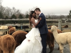 Wedding photos here at the farm!