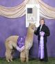 Sire Principio Futuriy Champion