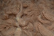 Sequence Gorgeous Fleece 2017