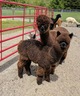 OMG's first cria was a girl named Rally