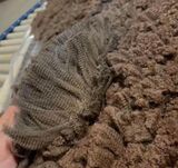 Alydar Fleece