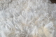 Titanium's Gorgeous Fleece 2017