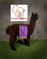 Sire:  Irish Meadows Outlander
