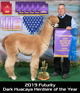 Sire:  Sunset Hills Zagato