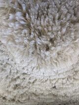 Fury's Fleece
