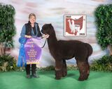 ALPACA PALACE ZAGATO'S JAY-Z