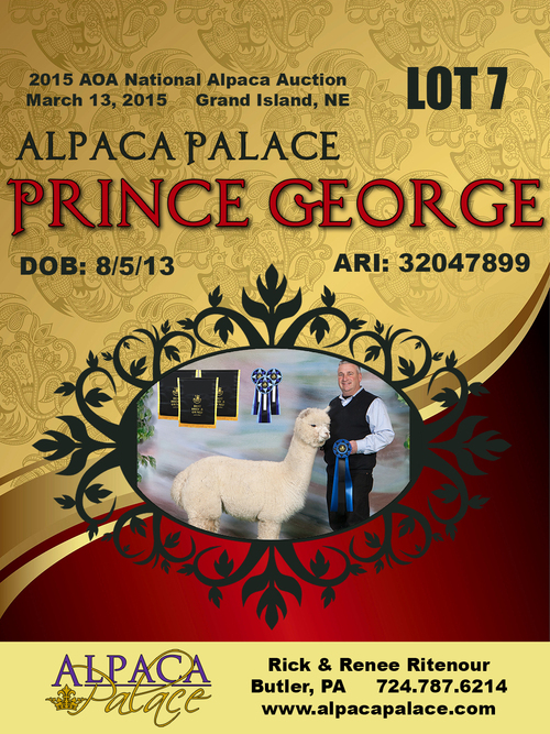 Prince George AOA 2015 National Auction