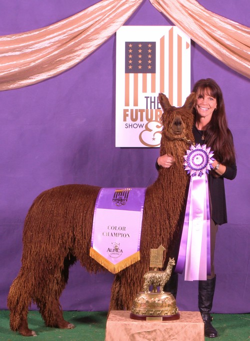 2015 FUTURITY First Place & COLOR CHAMPION