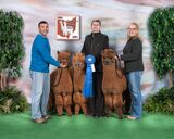 Best In Brown on right