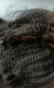 Madeline 2017 fleece