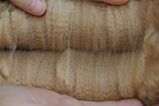 Dams fleece 