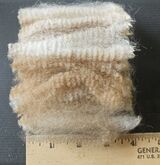 Fleece 2024 shearing