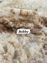 2024 blanket fleece