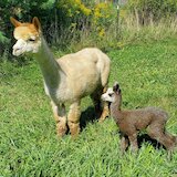 Jaina and Mom
