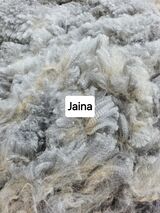 2024 Blanket
