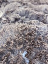 Talisman's  Fleece