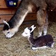 As a newborn - with mom