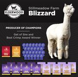 Sire - Stillmeadow Farm Blizzard
