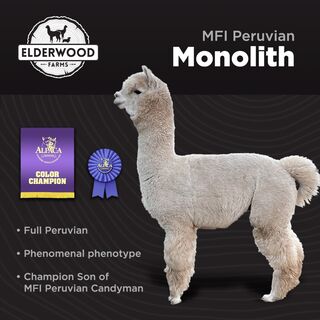 Photo of MFI Peruvian Monolith