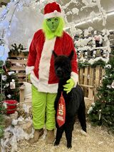 Bones with the Grinch